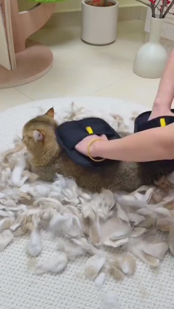 Video provided by Shopify App SwipeUp